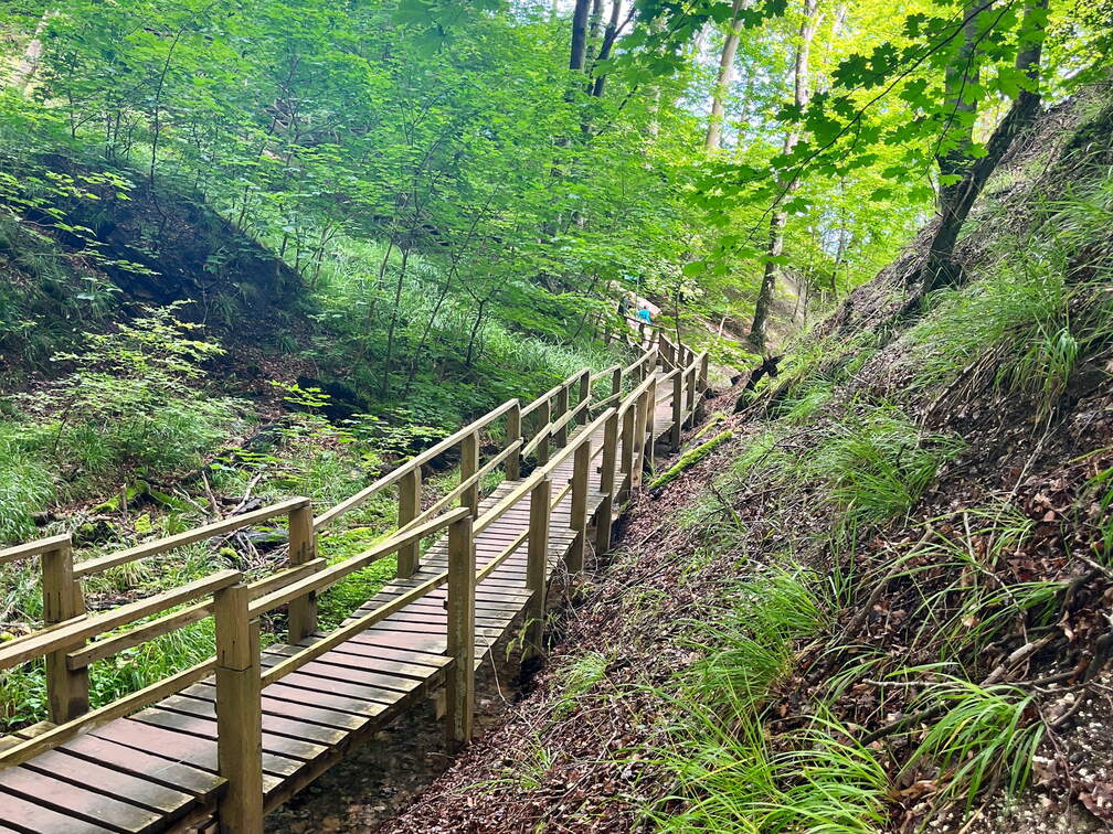 24-07-02 14-06-32 0124